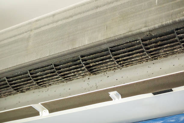 Ductwork Cleaning Services in Trowbridge Park, MI