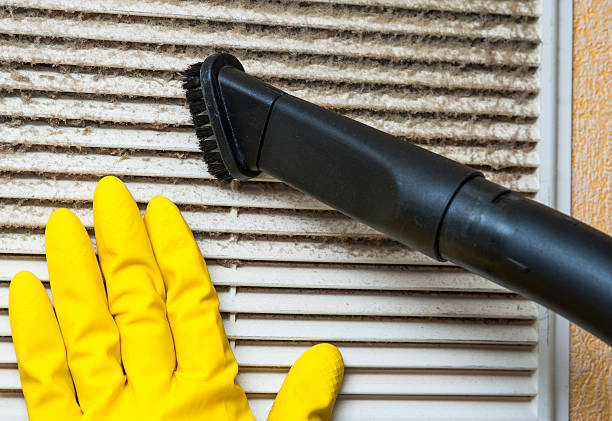 Best Air Duct Cleaning Near Me  in Trowbridge Park, MI